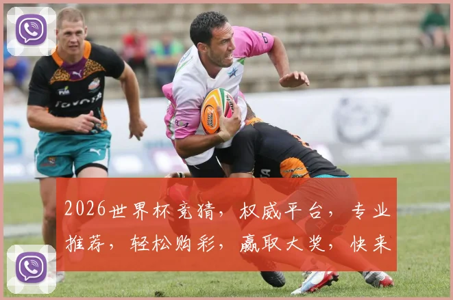 2026世界杯竞猜，权威平台，专业推荐，轻松购彩，赢取大奖，快来体验