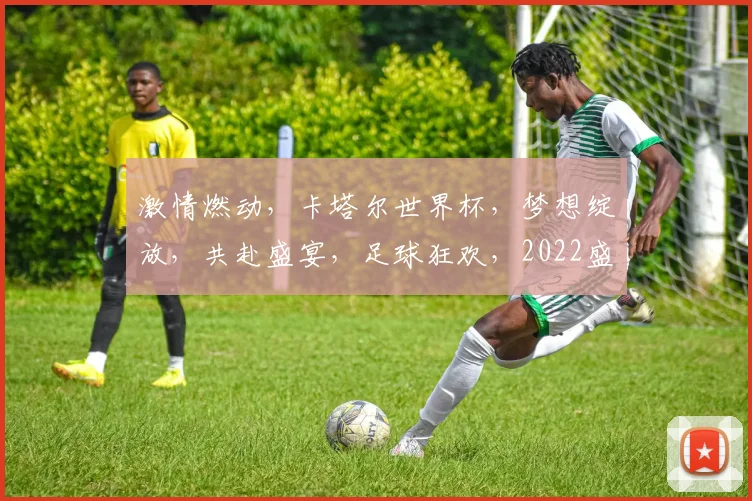 激情燃动，卡塔尔世界杯，梦想绽放，共赴盛宴，足球狂欢，2022盛宴启幕